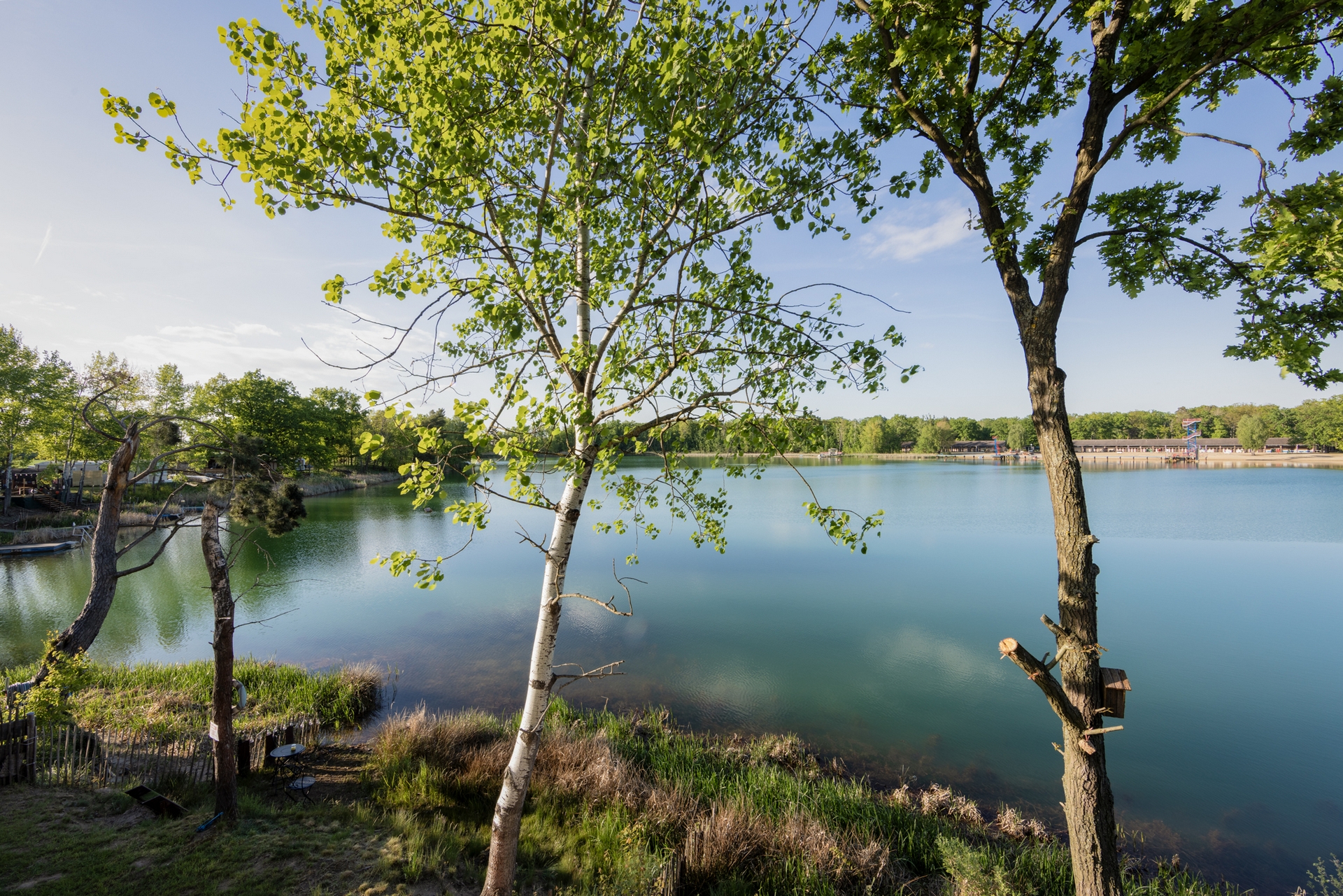 Seeblick 1