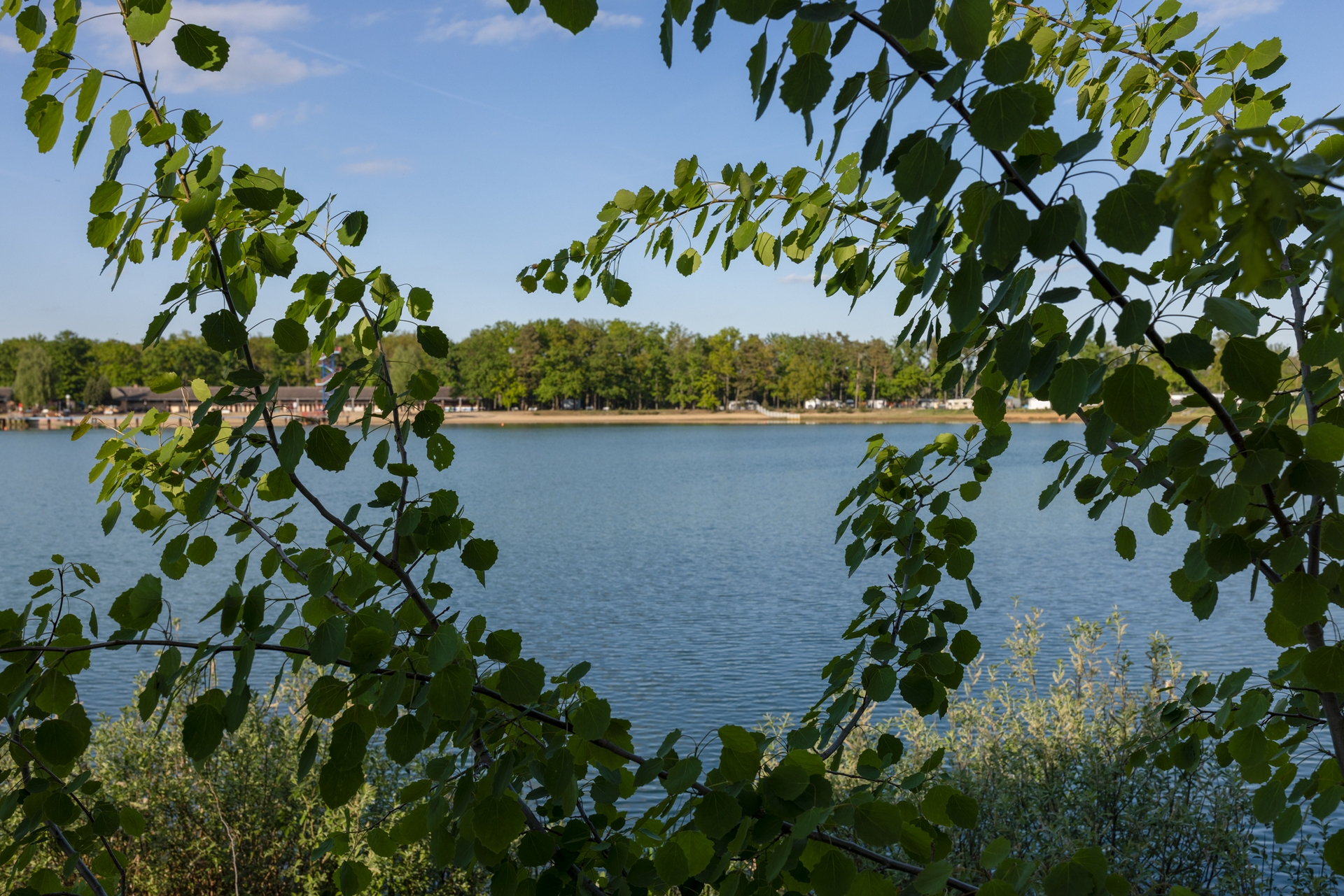 Seeblick 4