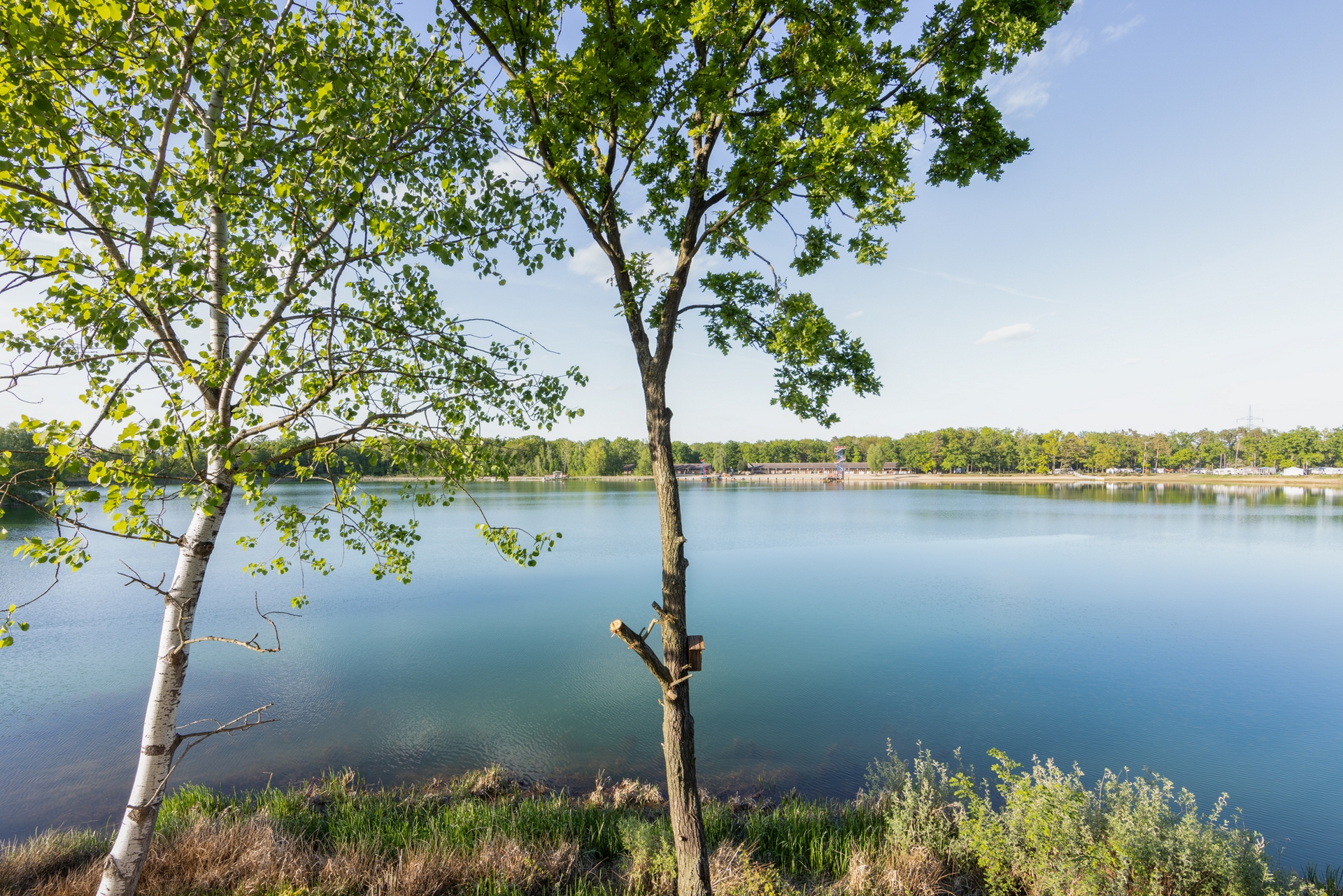 Seeblick 2